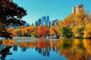 séjour linguistique à New York