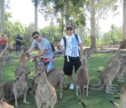 sejours agency Anglais général à Brisbane en famille d'accueil