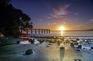 LSI Auckland