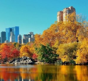 Séjour immersion usa manhattan