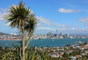 Gap Year Auckland