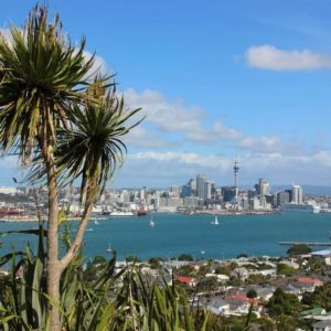 Gap Year Auckland année sabbatique à l'étranger