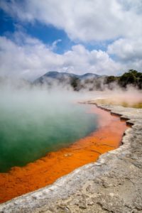 voyage en immersion nouvelle zélande