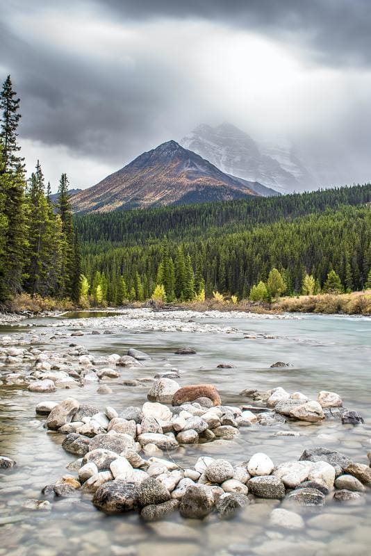 Voyage linguistique Canada