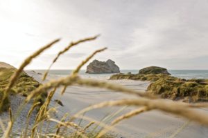 Séjour linguistique Nouvelle-Zélande