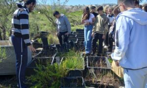 réserve naturelle malte; projet développement durable exemple
