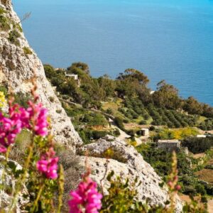 séjour écologie à malte; projet développement durable exemple; voyage éco responsable