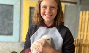 animaux causey farm; famille d'accueil dublin