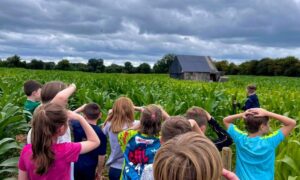 visite causey farm; voyage scolaire en irlande