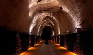 visite cave champagne; sortie à la journée en autocar reims